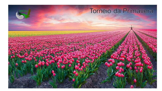 Imagem de Torneio da Primavera